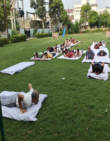 International Yoga day 2025